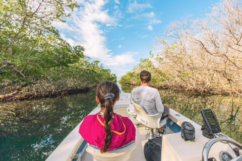 Explore the everglades on an airboat tour