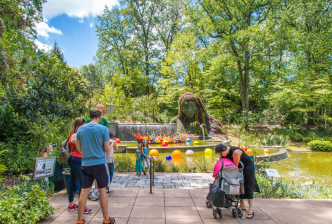 Visit the Atlanta Botanical Garden