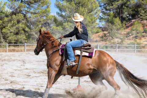 Go horseback riding at Cascade Stables