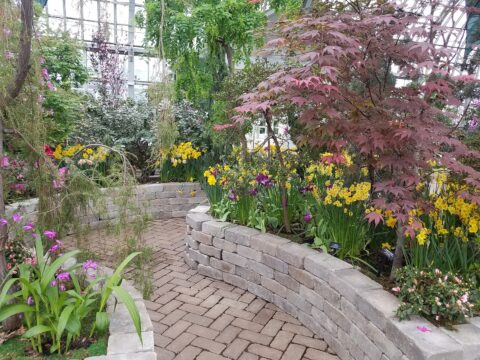 Visit The Garfield Park Conservatory