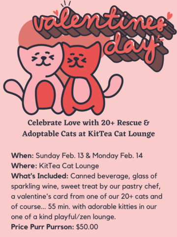 Be My Valentine at KitTea Cat Lounge