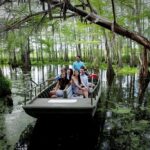 Best swamp tours