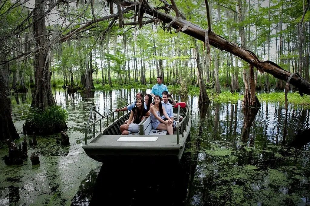 Best Airboat Swamp Tours New Orleans Experism