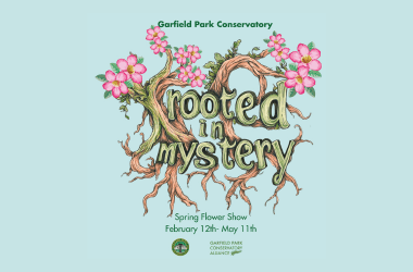Spring Flower Show: Rooted in Mystery